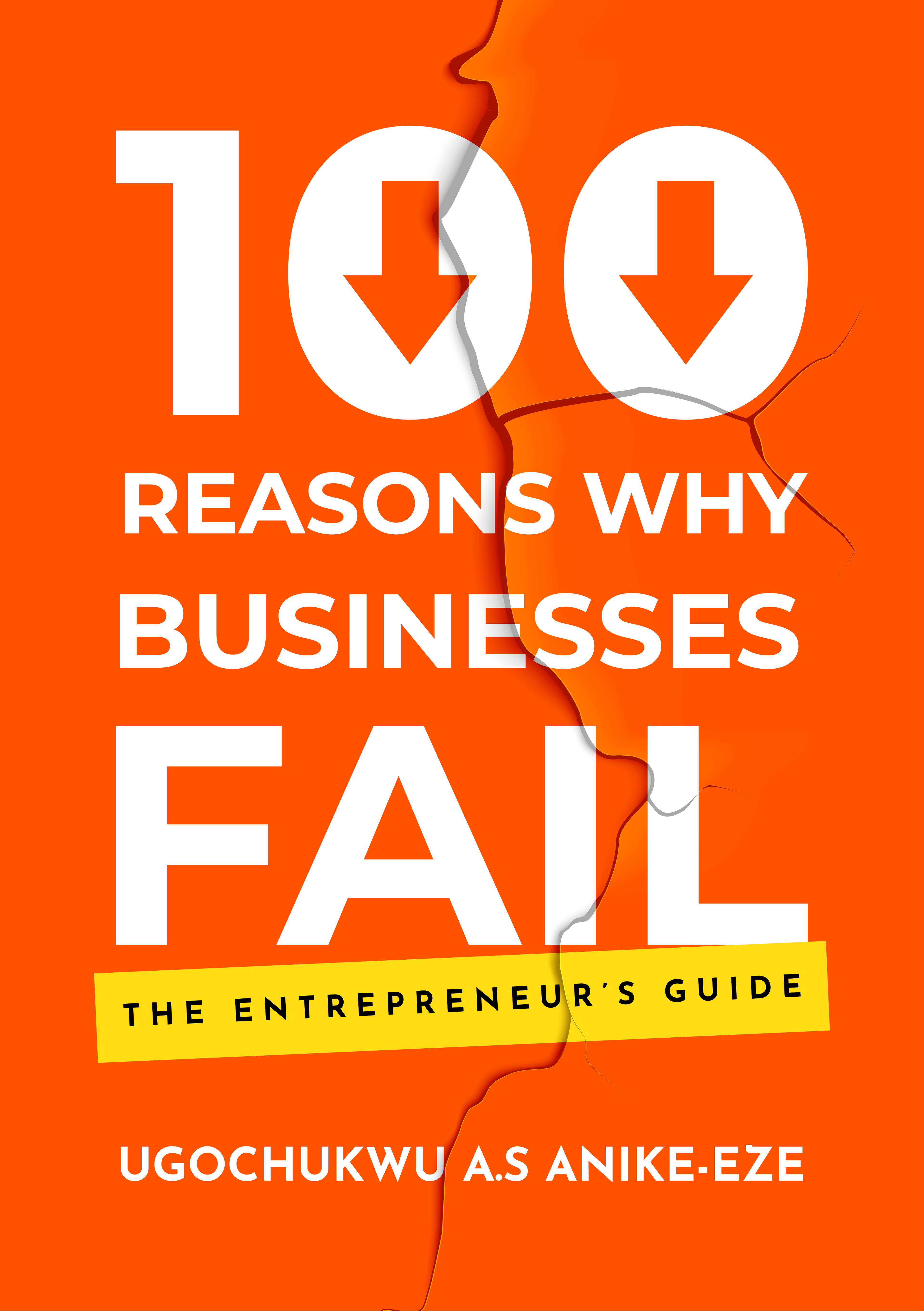 100 Reasons Why Businesses Fail: The Entrepreneur's Guide [EBOOK]